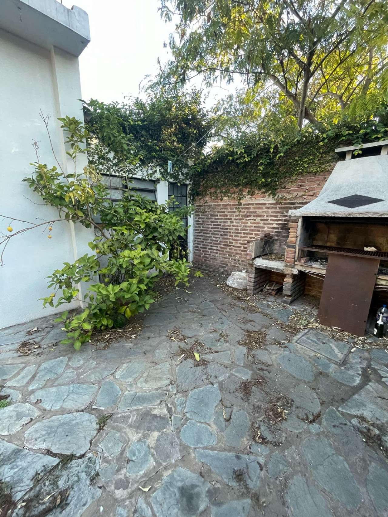 VISTA EXTERNA DE GALPON/LAVADERO Y PARRILLA